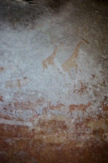 Giraffes on a rock wall
